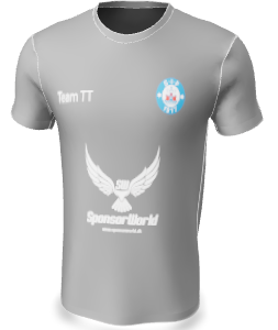 Williams Malerfirma – T-shirt – Gray SIF