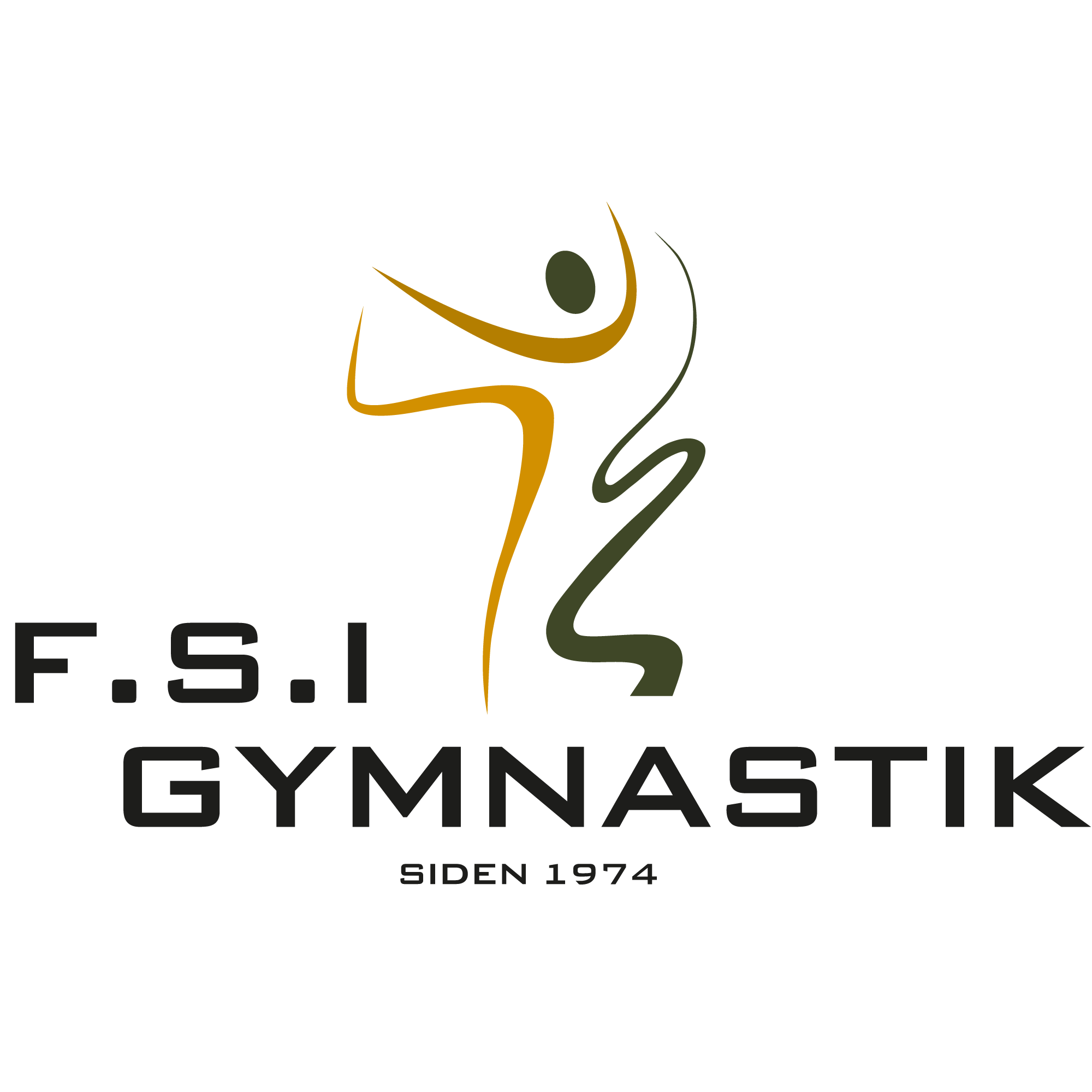 Logo for FSI Gymnastik, som har modtaget tøj af Sponsorworld